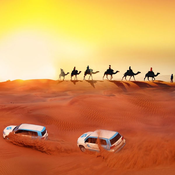 Dubai Special Tour.jpg